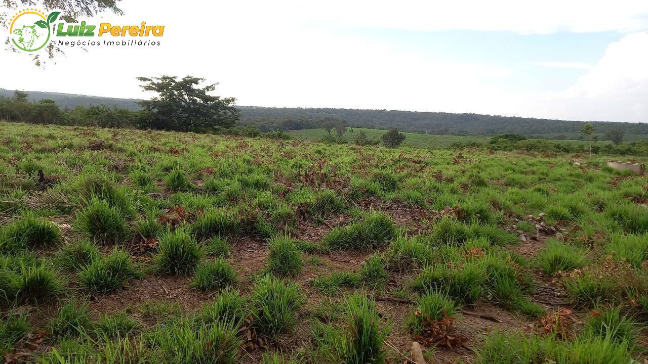 Fazenda-Sítio-Chácara, 1060 hectares - Foto 1