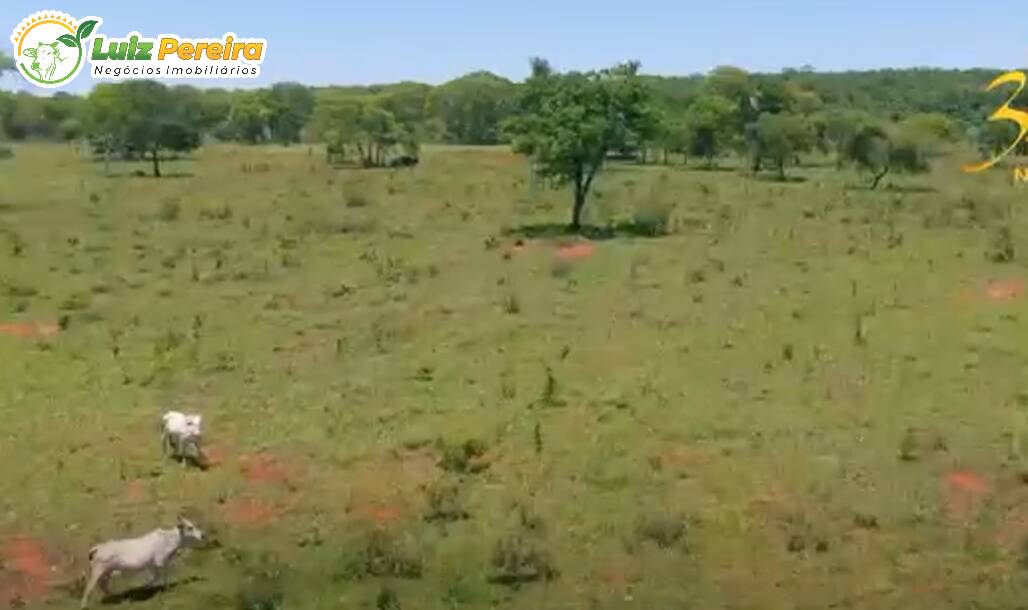 Terreno à venda, 2660000m² - Foto 2
