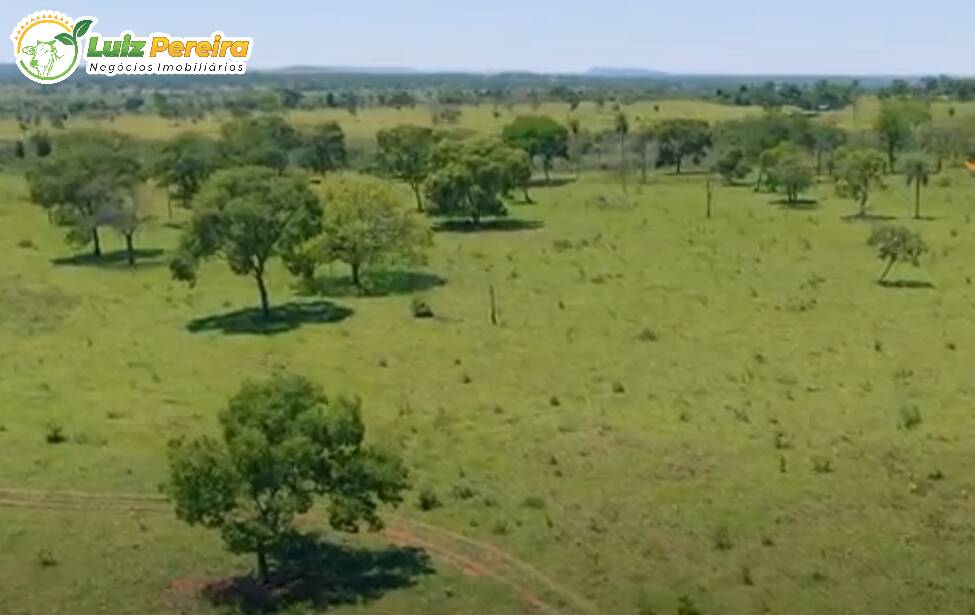 Terreno à venda, 2660000m² - Foto 6