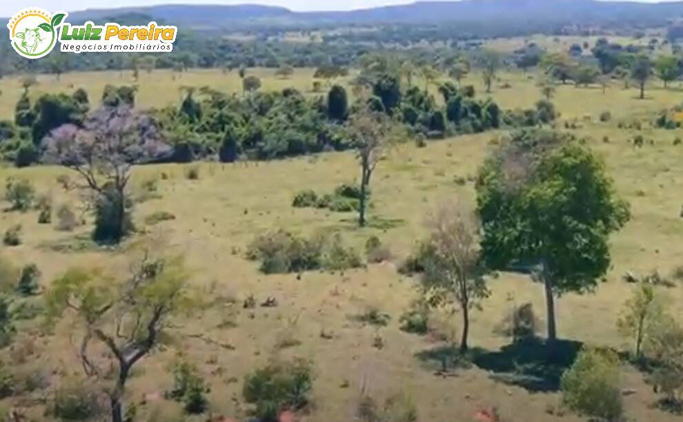 Terreno à venda, 2660000m² - Foto 7