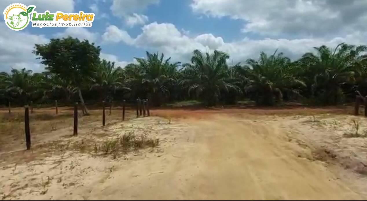 Terreno à venda, 2660000m² - Foto 14