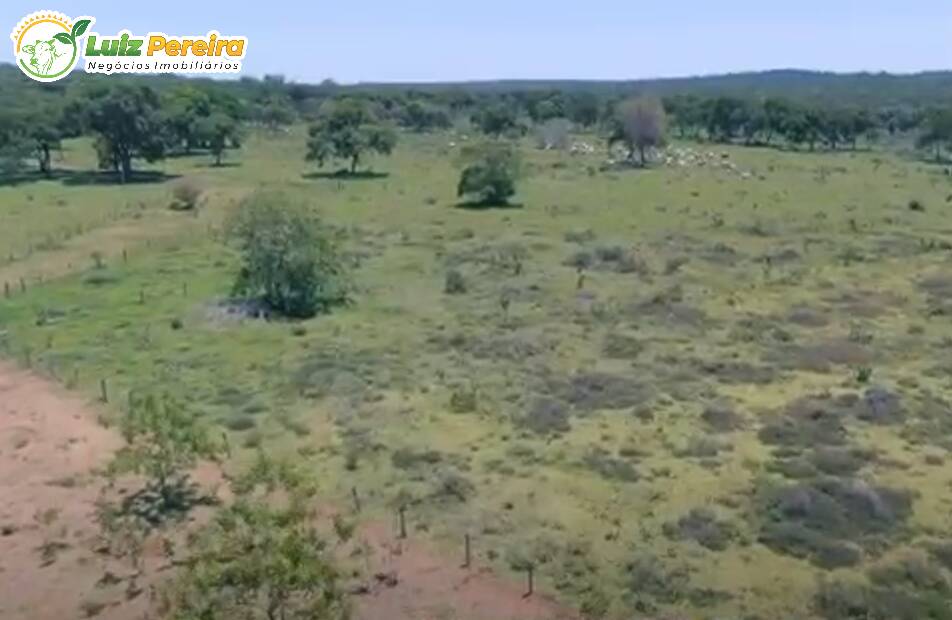 Terreno à venda, 2660000m² - Foto 3
