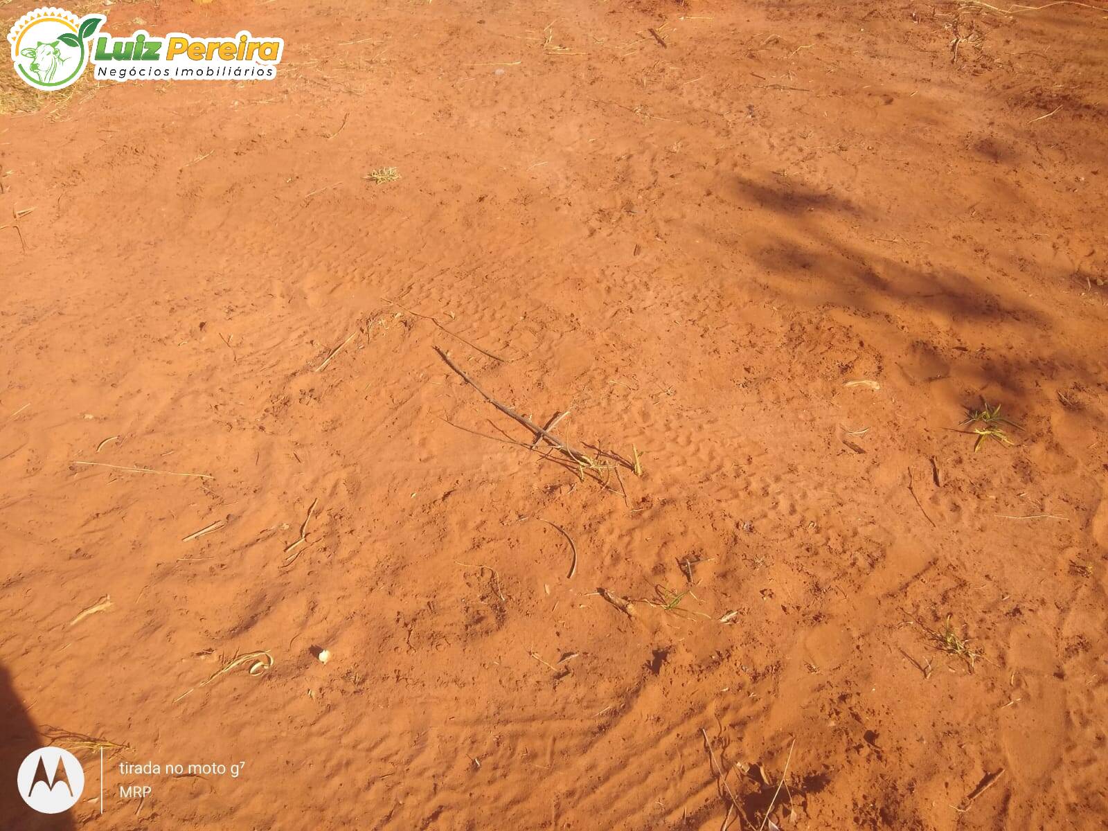 Terreno, 200 hectares - Foto 6