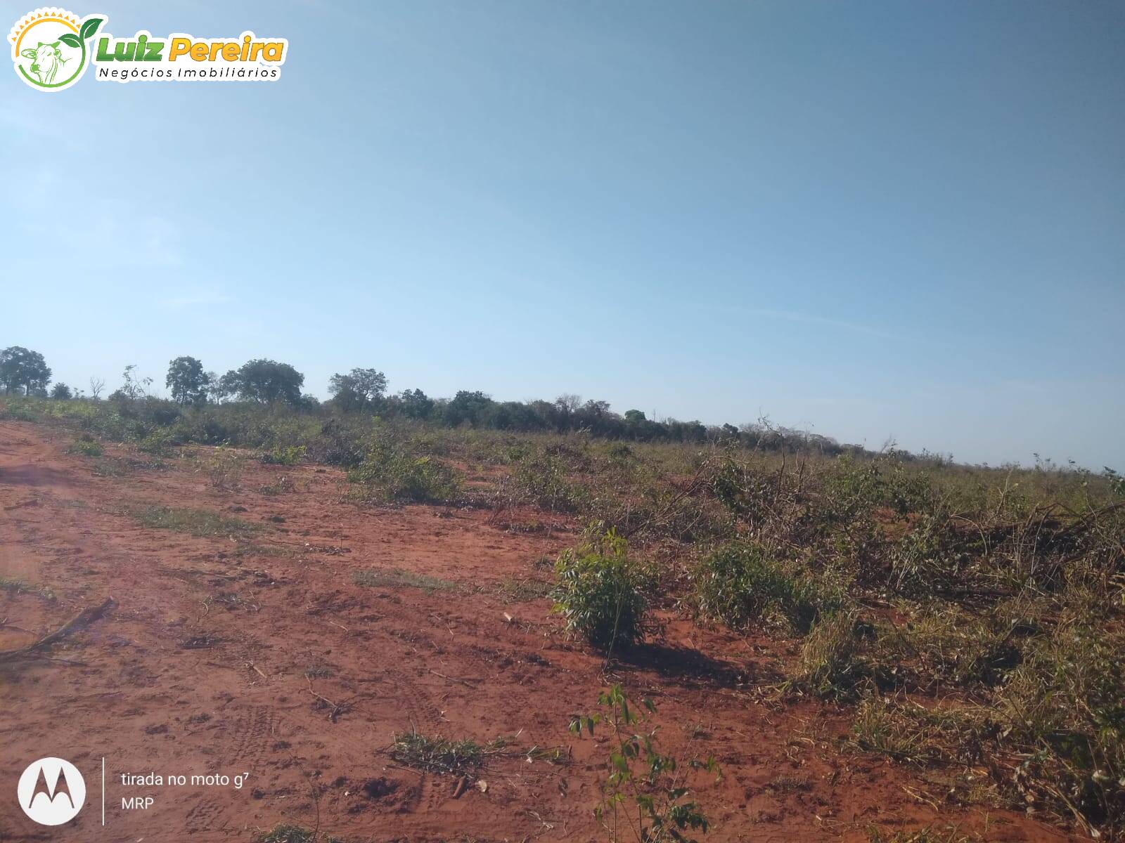 Terreno, 200 hectares - Foto 5