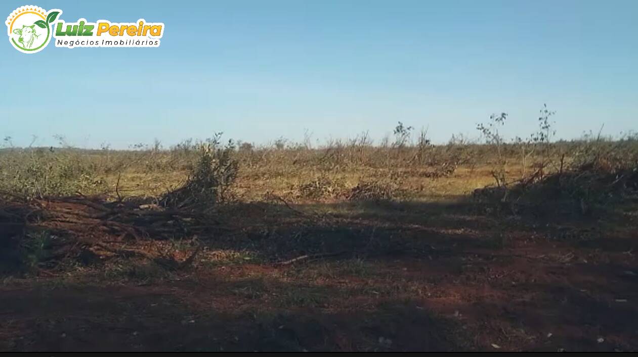 Terreno, 200 hectares - Foto 4