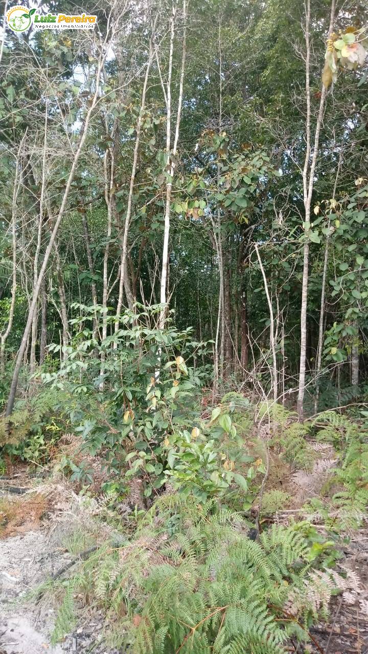 Terreno à venda, 170000000m² - Foto 7