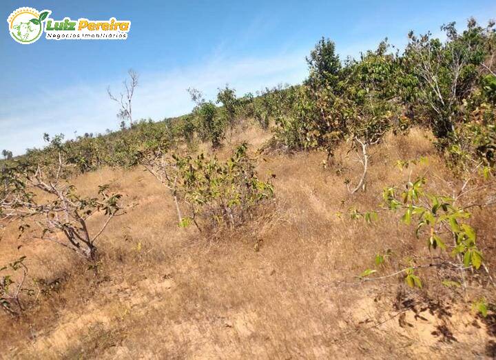Terreno à venda, 170000000m² - Foto 18
