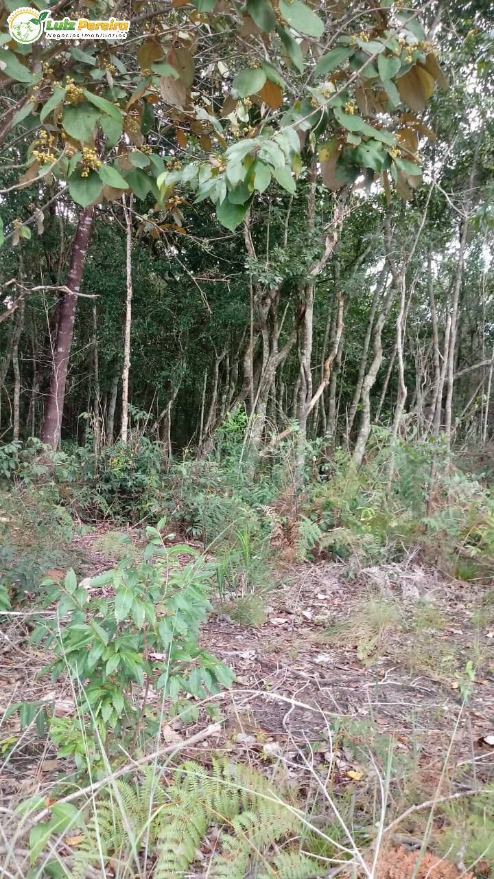 Terreno à venda, 170000000m² - Foto 11