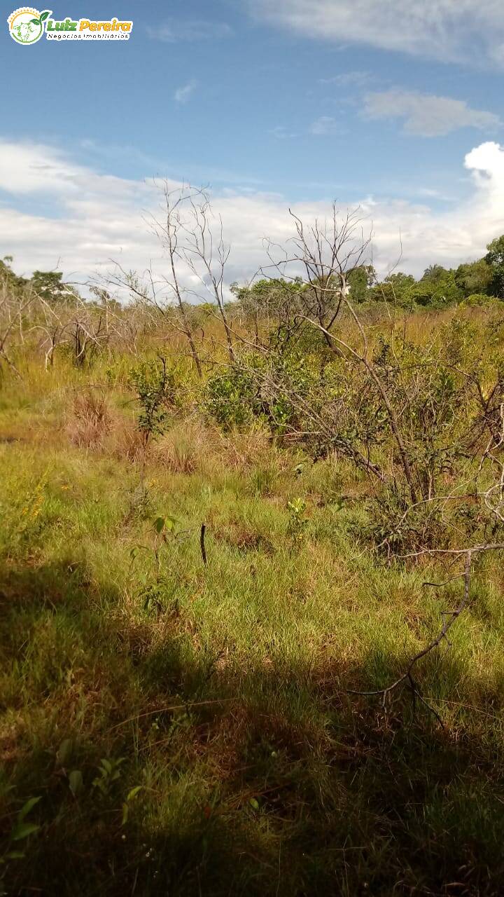 Terreno à venda, 170000000m² - Foto 14