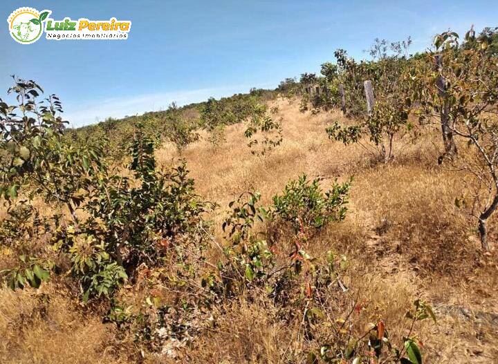 Terreno à venda, 170000000m² - Foto 19