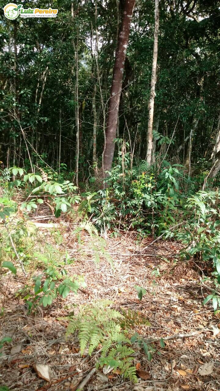 Terreno à venda, 170000000m² - Foto 12