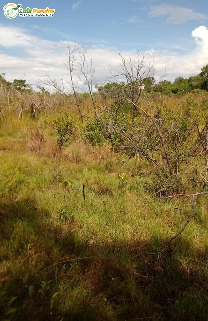 Terreno à venda, 170000000m² - Foto 13