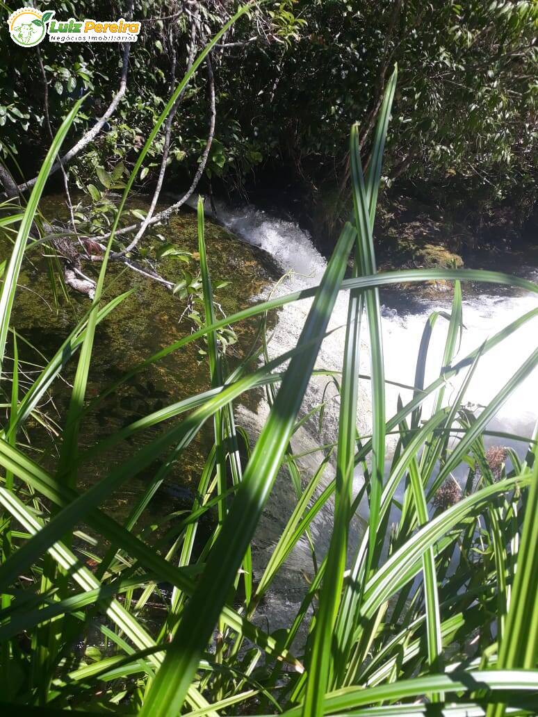 Terreno à venda, 170000000m² - Foto 16