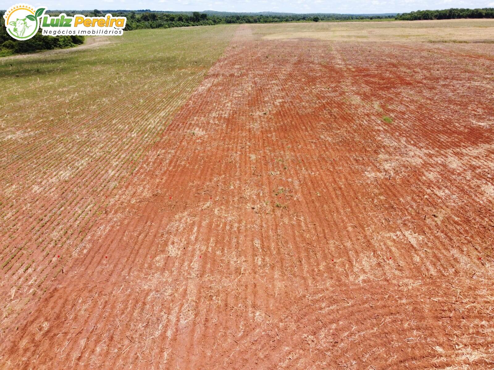 Terreno à venda, 692120000m² - Foto 10