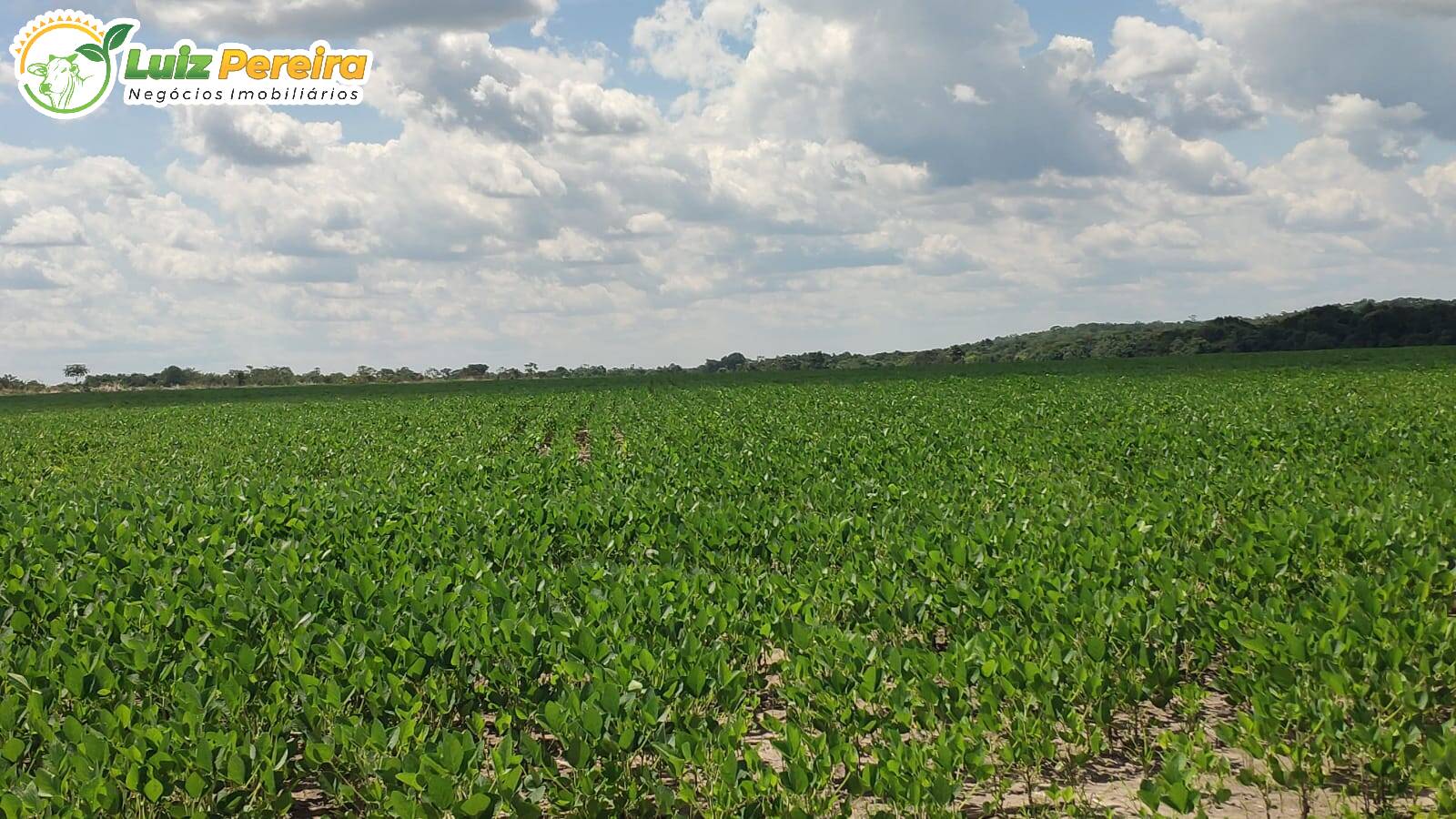 Terreno à venda, 692120000m² - Foto 7
