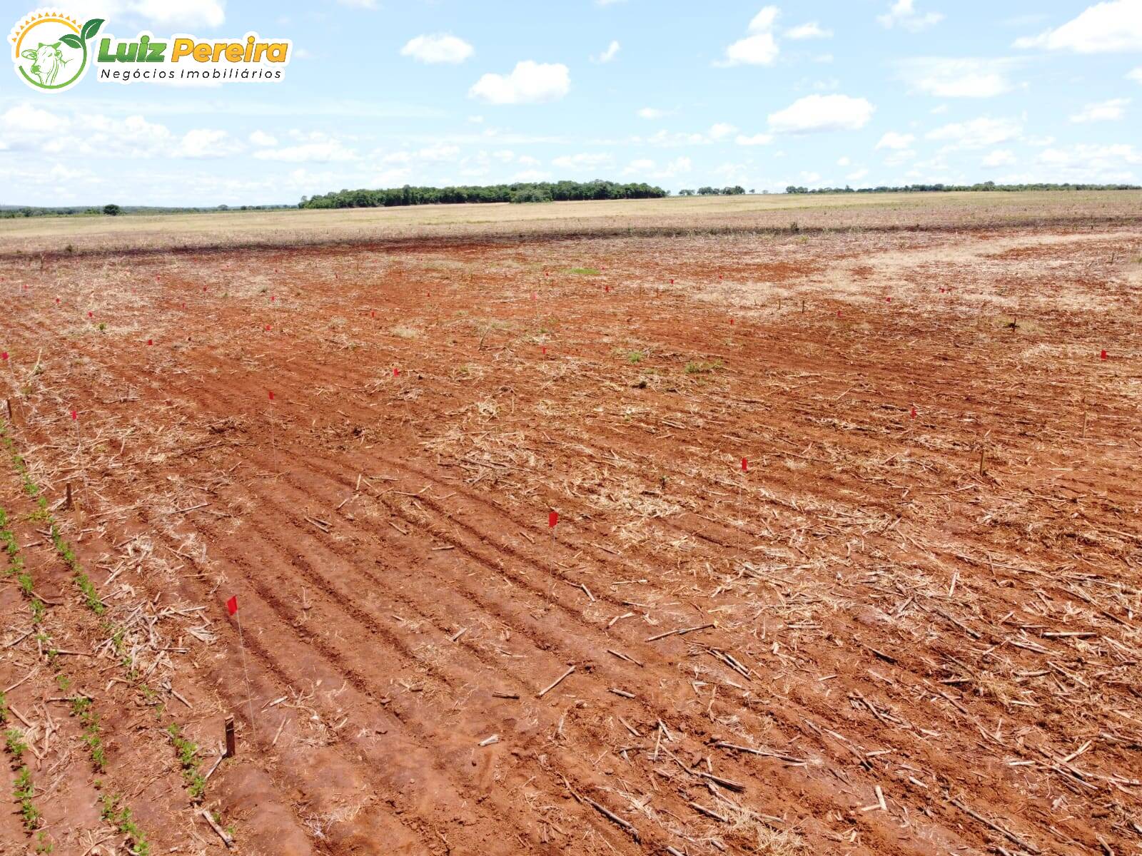 Terreno à venda, 692120000m² - Foto 11