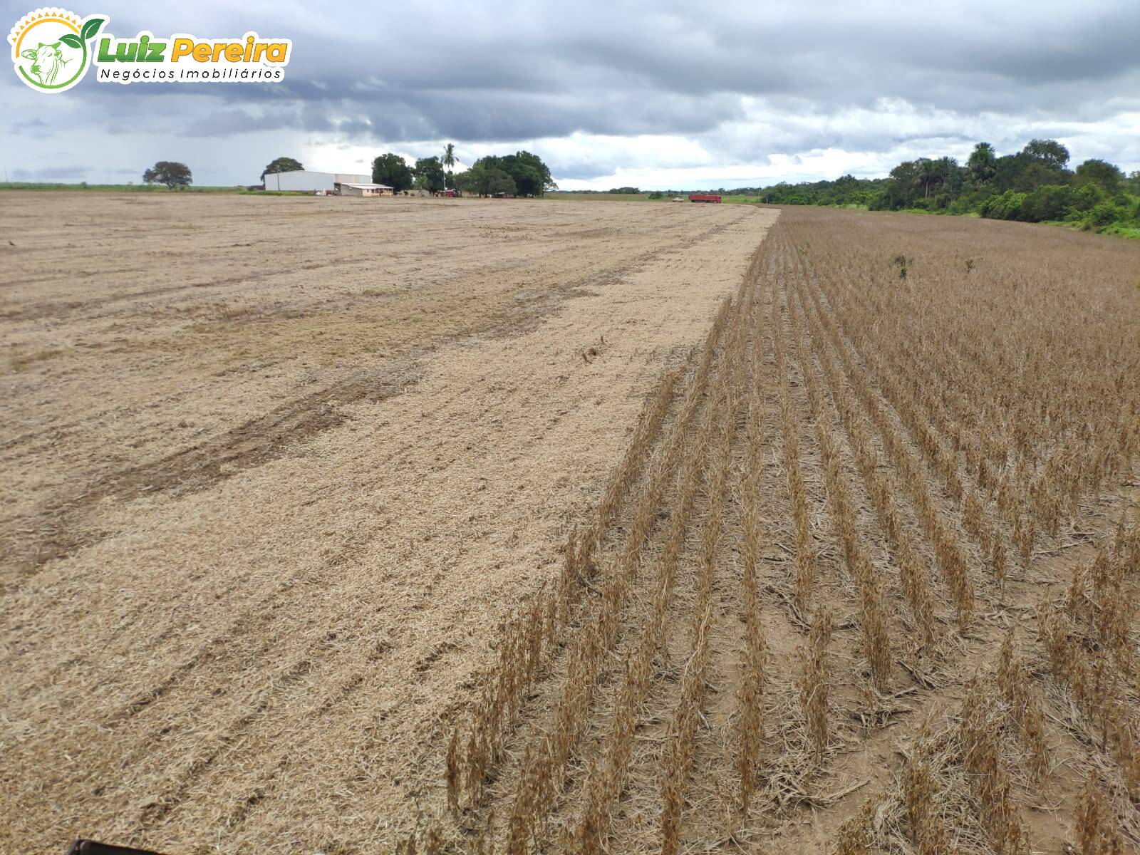 Terreno à venda, 692120000m² - Foto 12