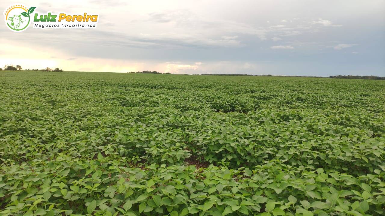 Terreno à venda, 692120000m² - Foto 3