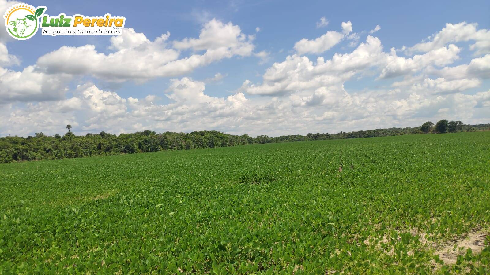 Terreno à venda, 692120000m² - Foto 2