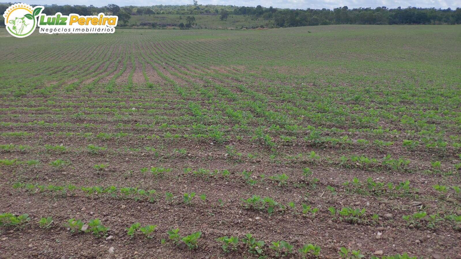 Terreno à venda, 692120000m² - Foto 6