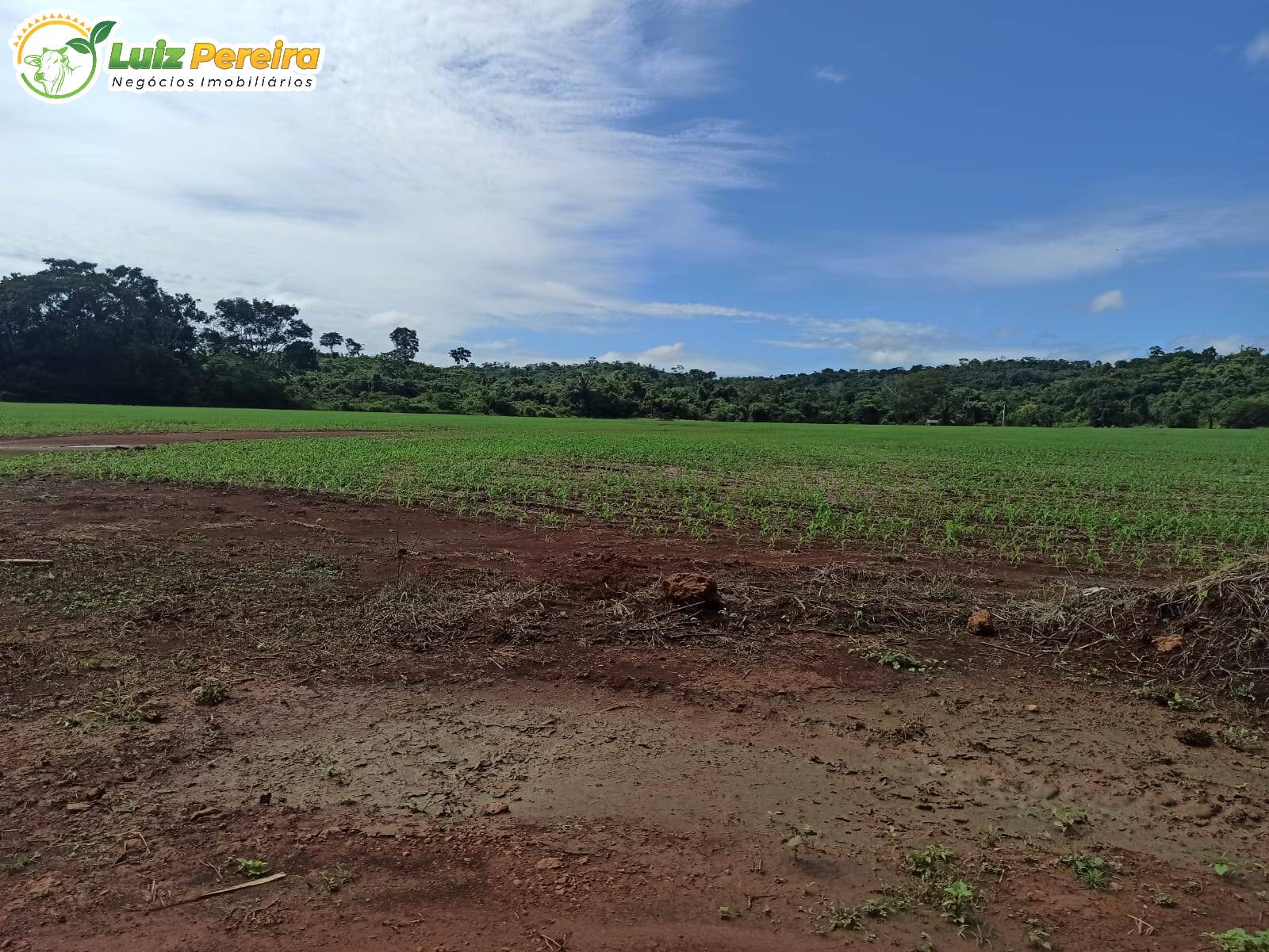 Terreno à venda, 36500000m² - Foto 7