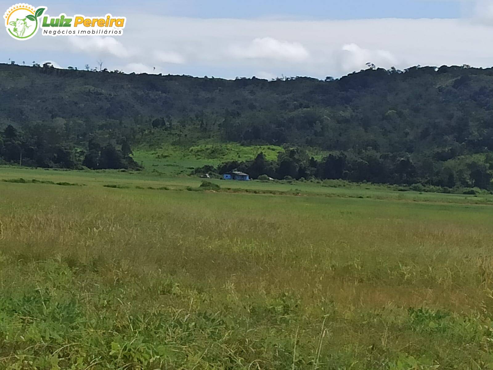 Terreno à venda, 36500000m² - Foto 6