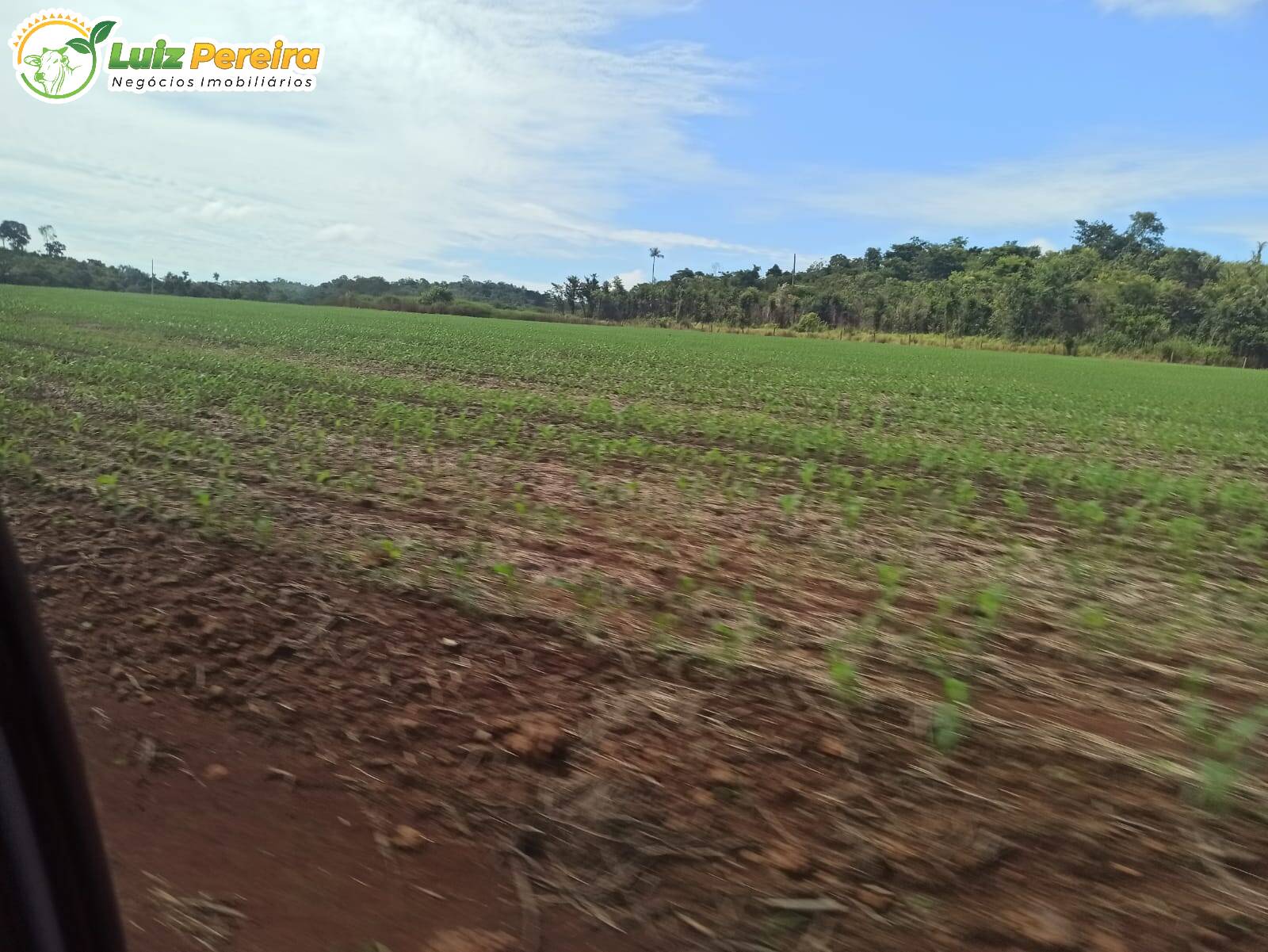 Terreno à venda, 36500000m² - Foto 9