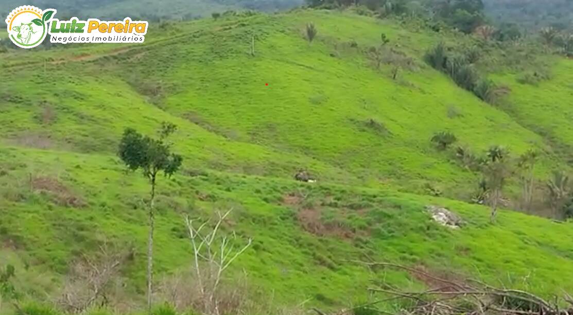 Terreno à venda, 4936800m² - Foto 2