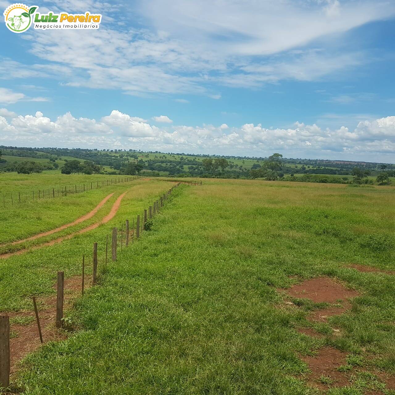 Terreno à venda, 42500000m² - Foto 10