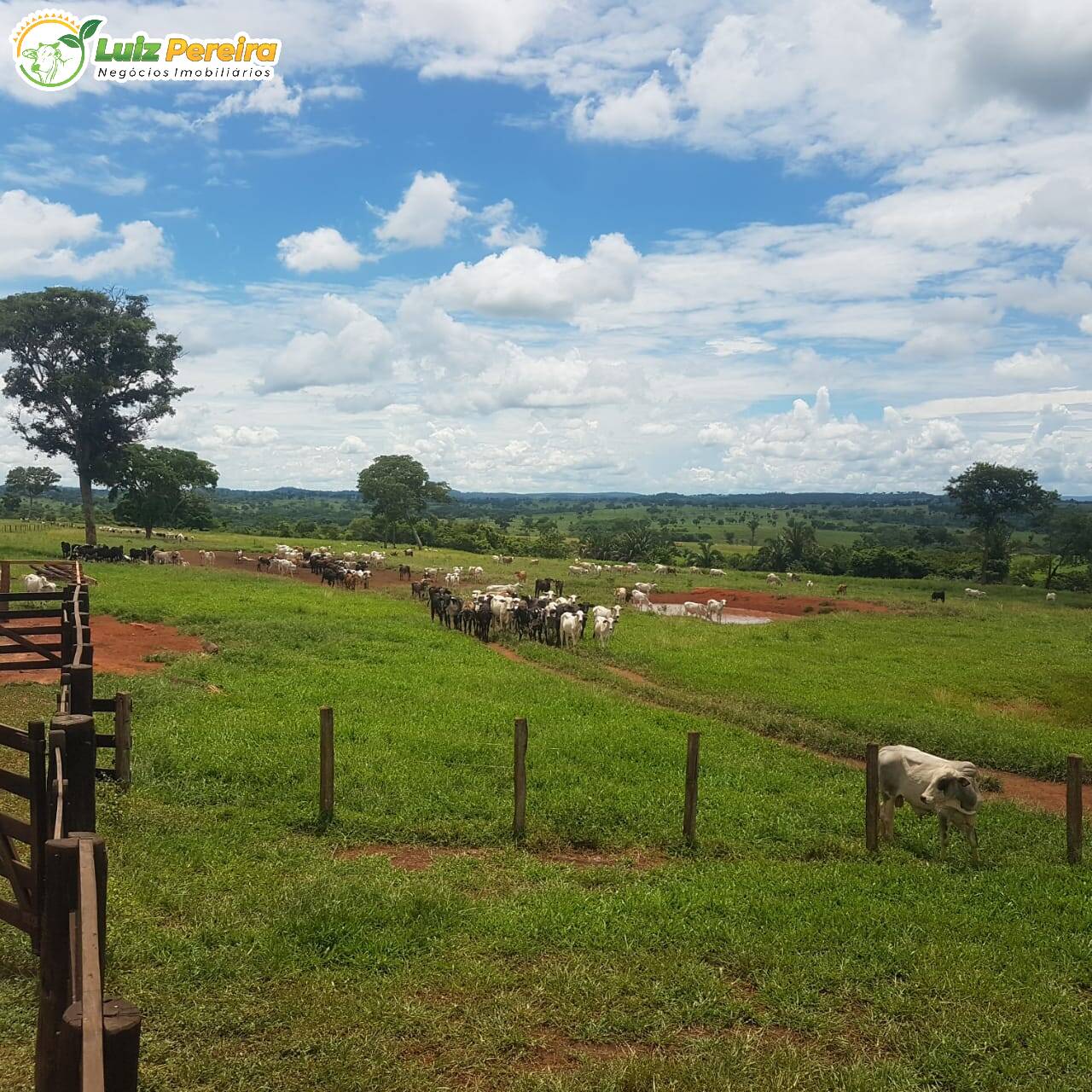 Terreno à venda, 42500000m² - Foto 1