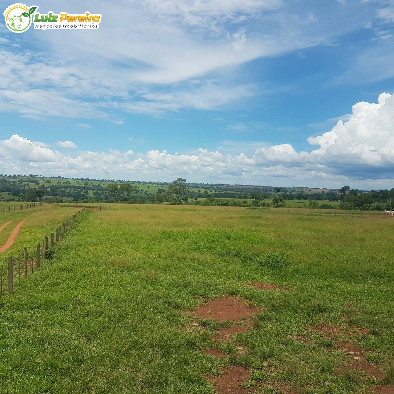 Terreno à venda, 42500000m² - Foto 12