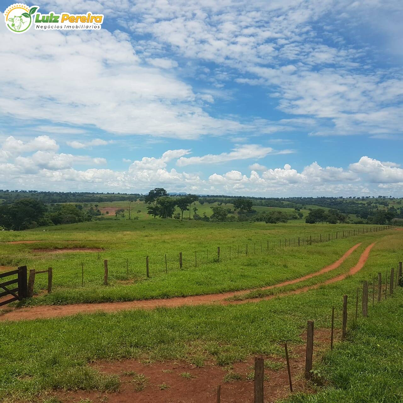 Terreno à venda, 42500000m² - Foto 11