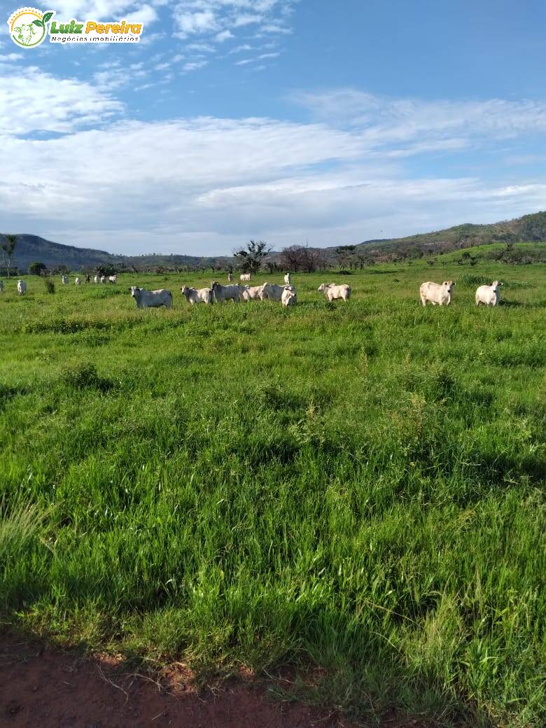 Terreno à venda, 42500000m² - Foto 2