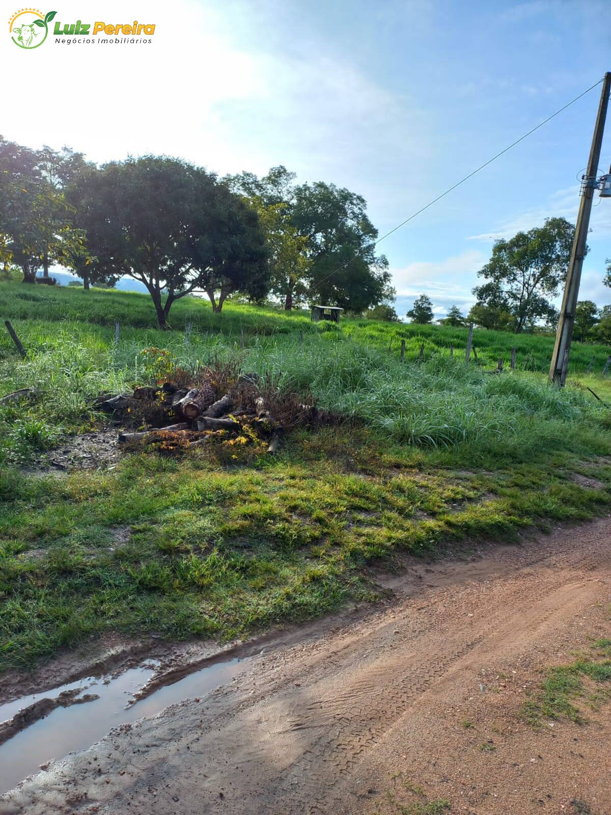 Terreno à venda, 3870000m² - Foto 5