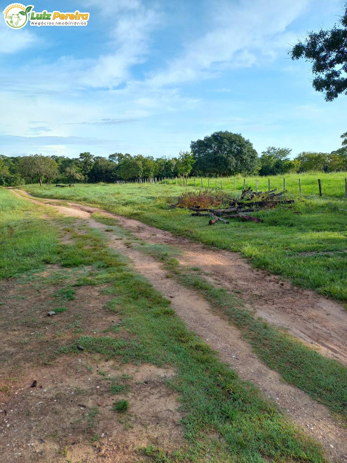 Terreno à venda, 3870000m² - Foto 4