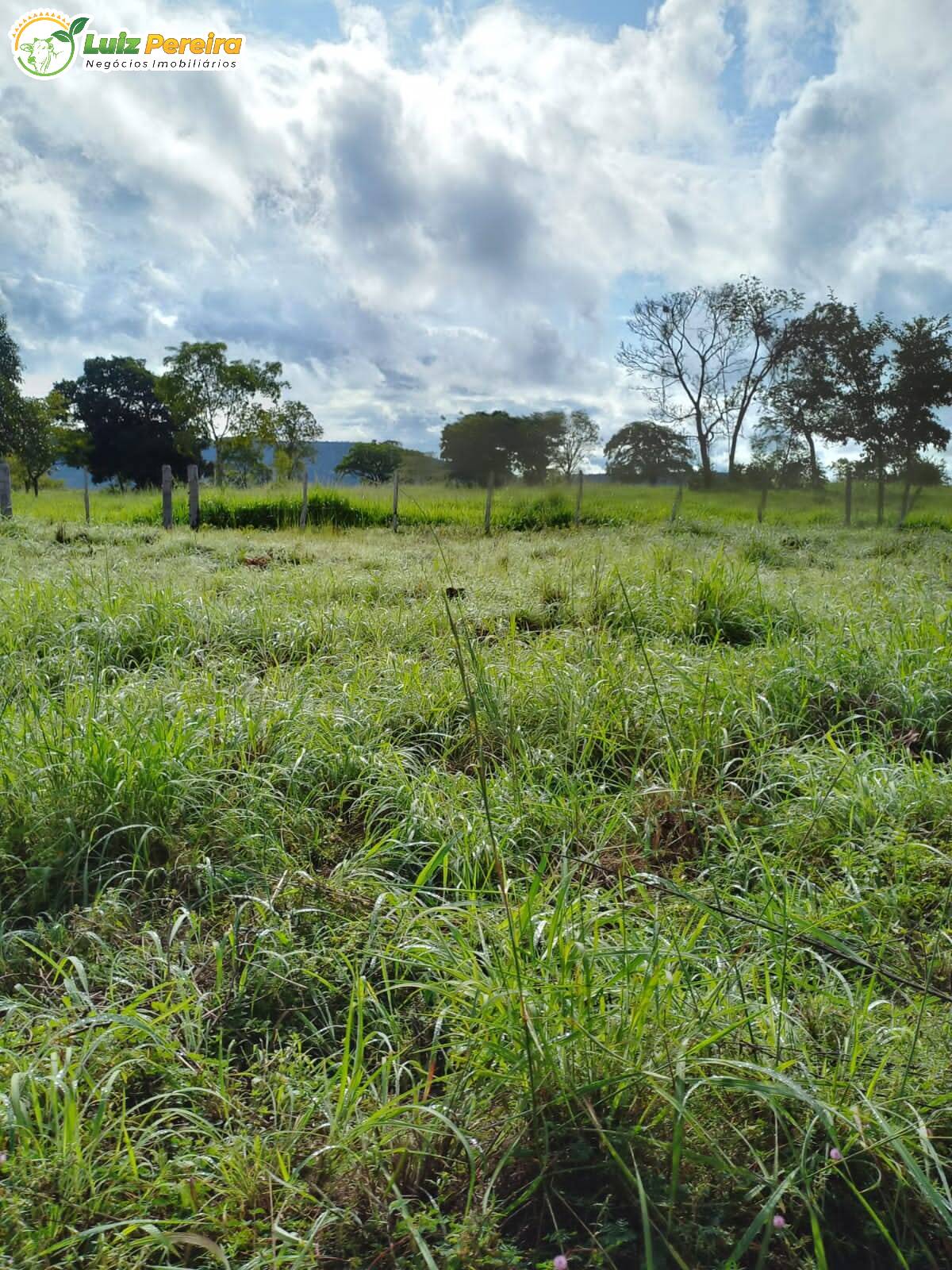 Terreno à venda, 3870000m² - Foto 6