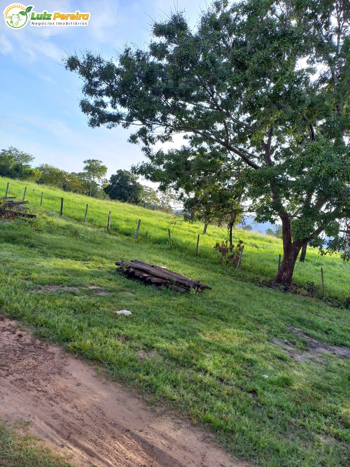 Terreno à venda, 3870000m² - Foto 3