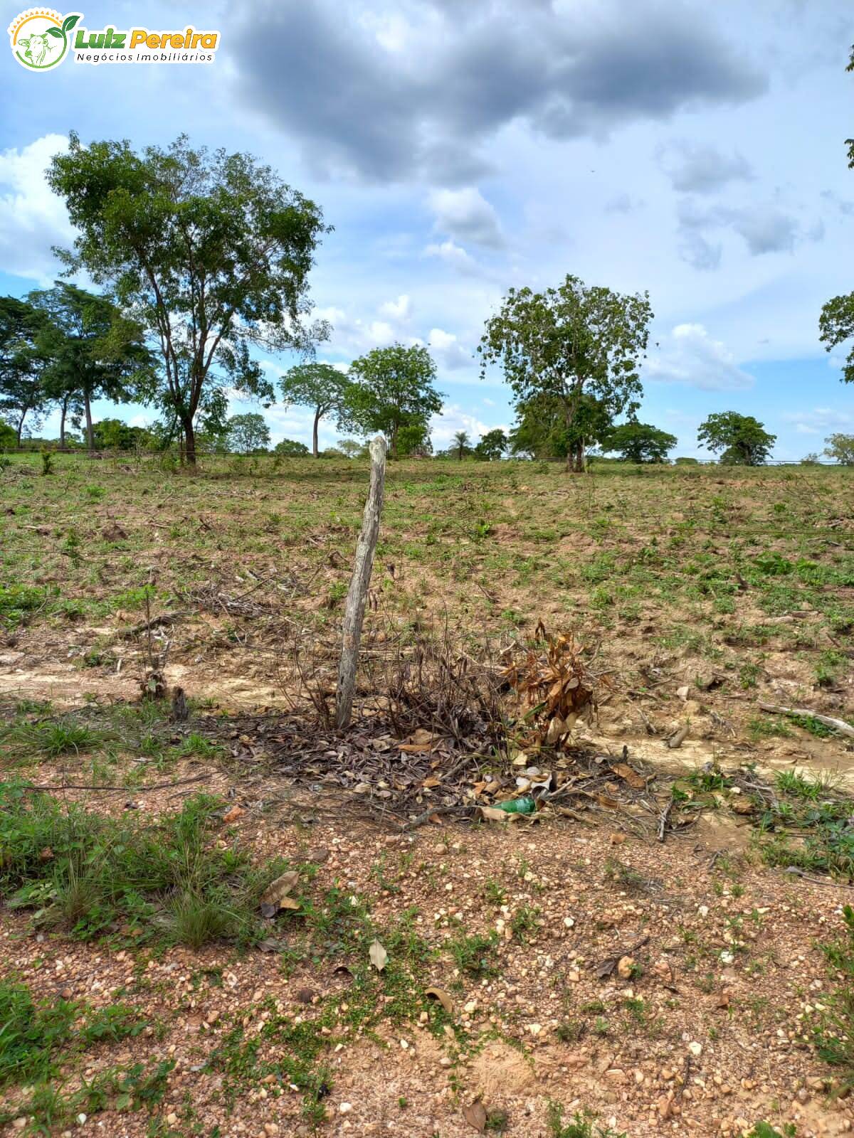 Terreno à venda, 3870000m² - Foto 12