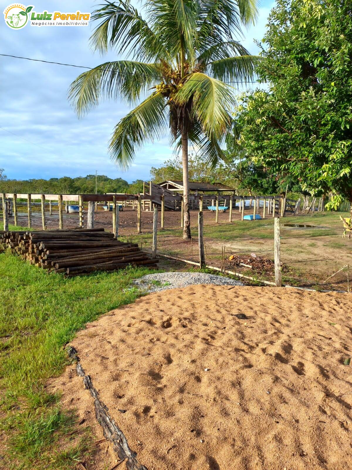 Terreno à venda, 3870000m² - Foto 11