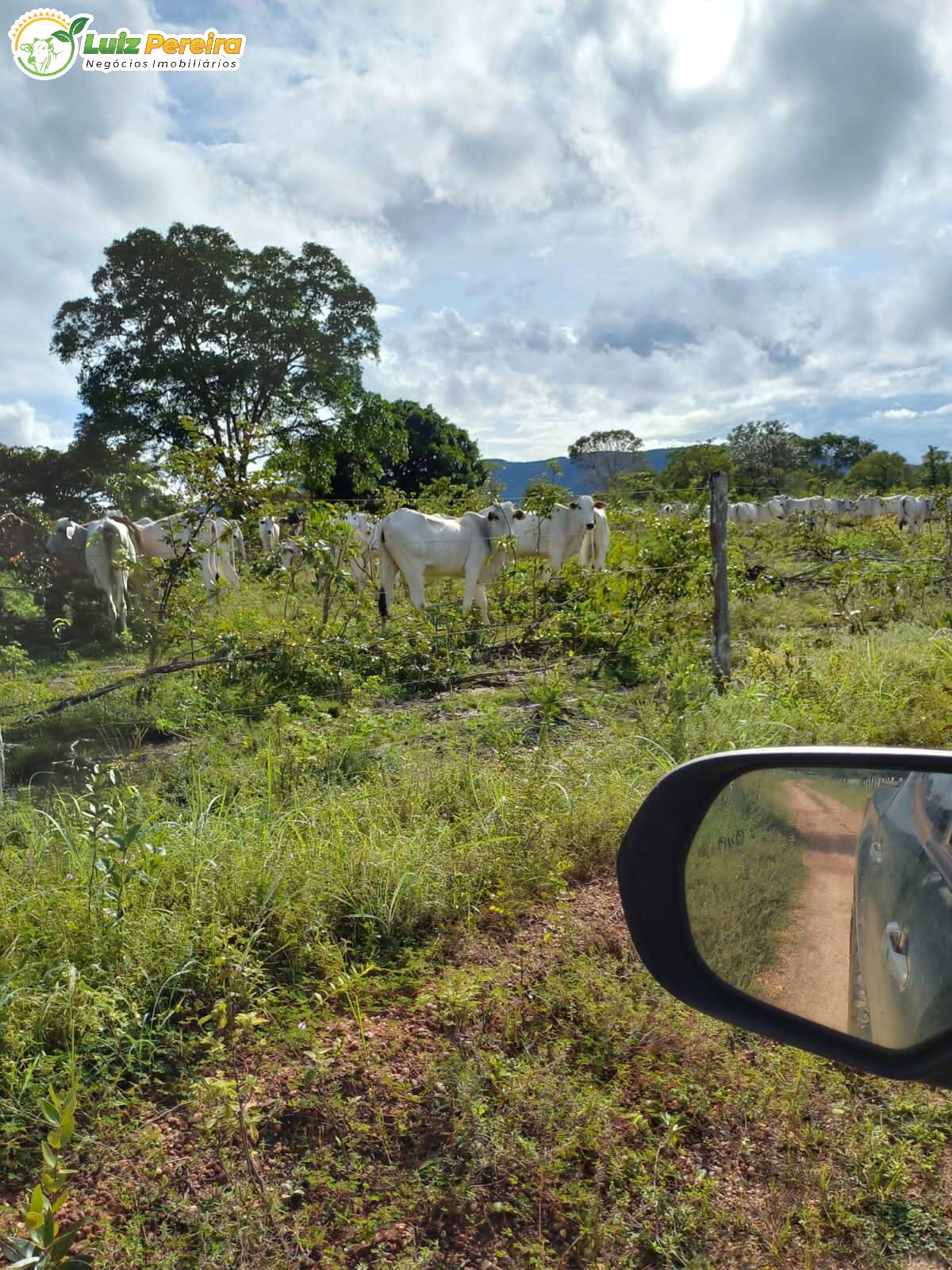 Terreno à venda, 3870000m² - Foto 14