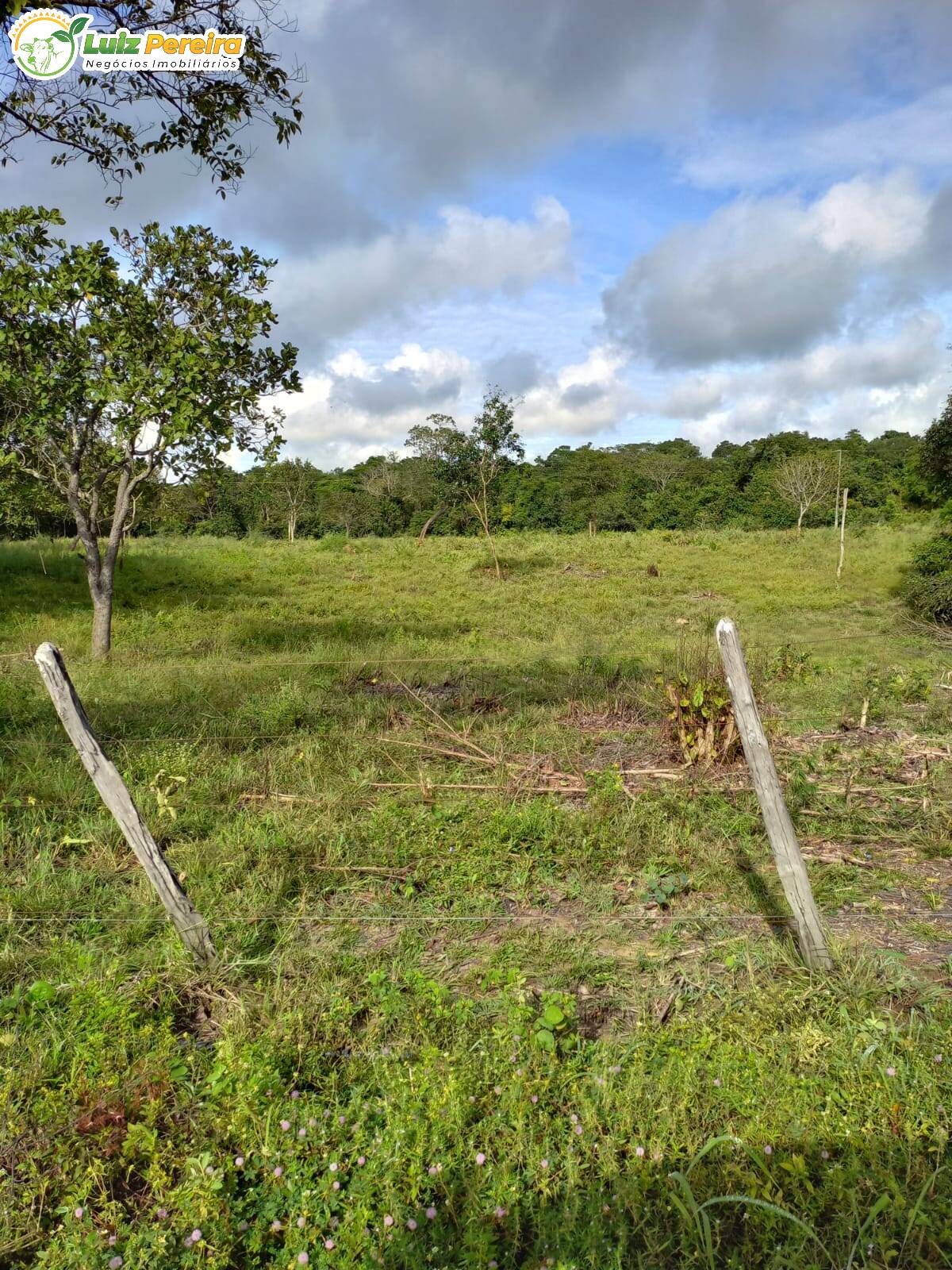 Terreno à venda, 3870000m² - Foto 8