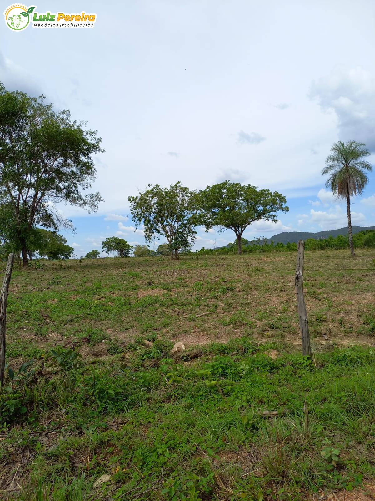 Terreno à venda, 3870000m² - Foto 9