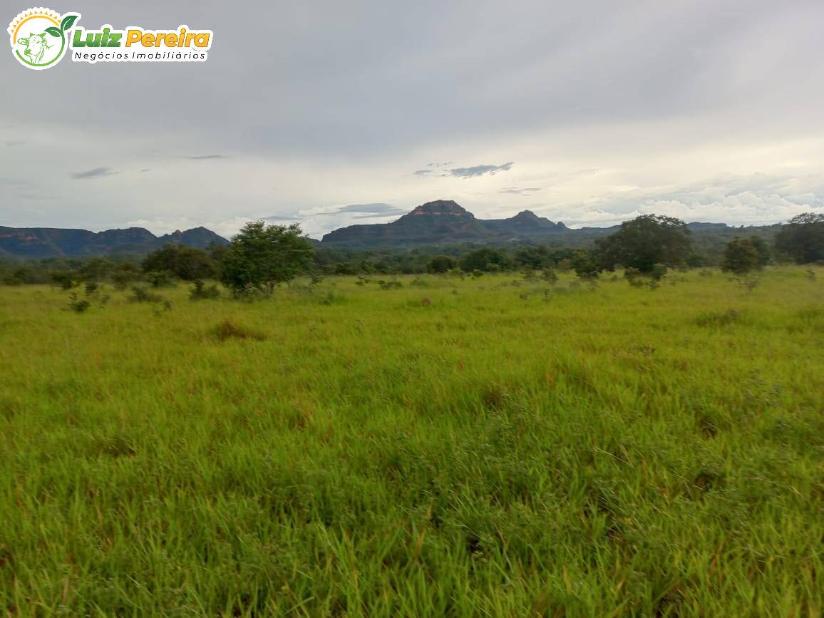 Terreno à venda, 24170000m² - Foto 6