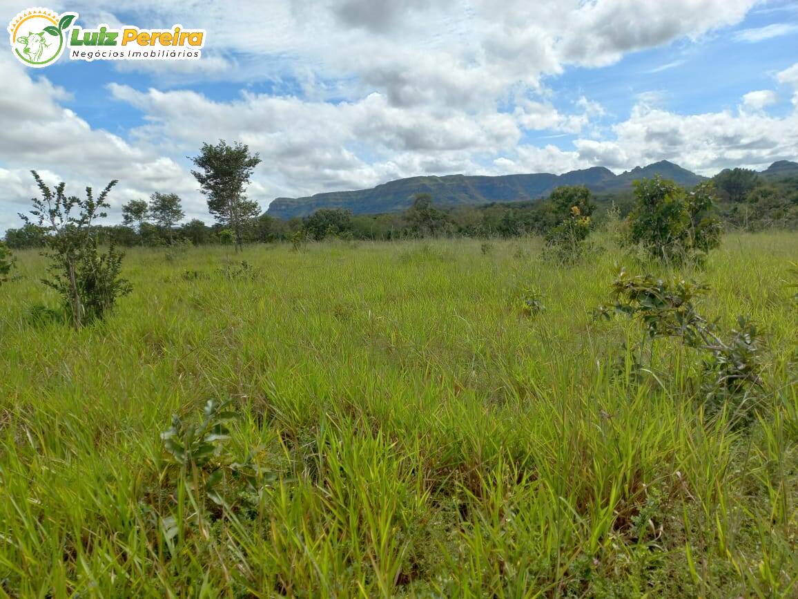 Terreno à venda, 24170000m² - Foto 8