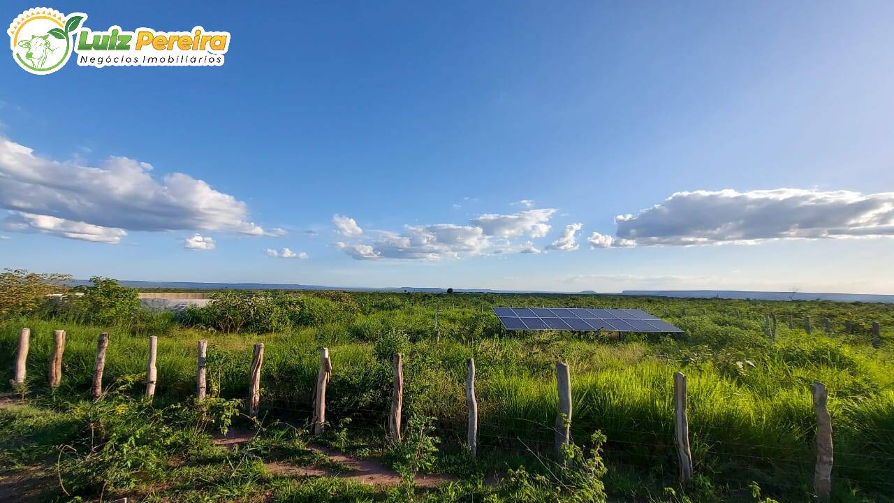 Terreno à venda, 65000000m² - Foto 6