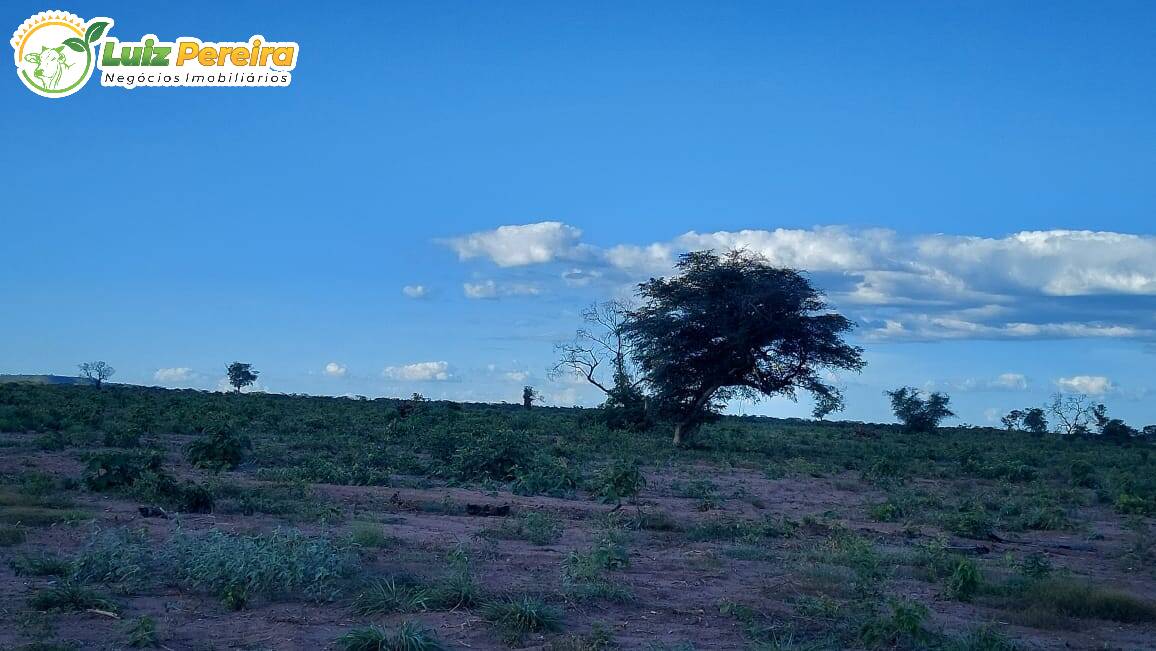 Terreno à venda, 65000000m² - Foto 10
