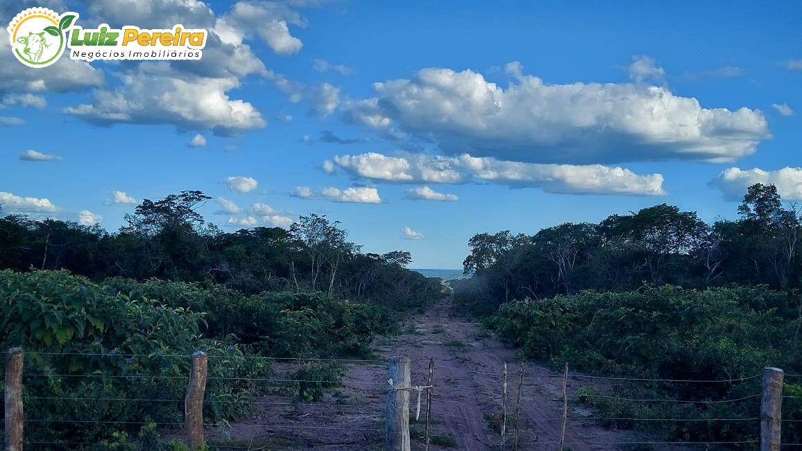 Terreno à venda, 65000000m² - Foto 12