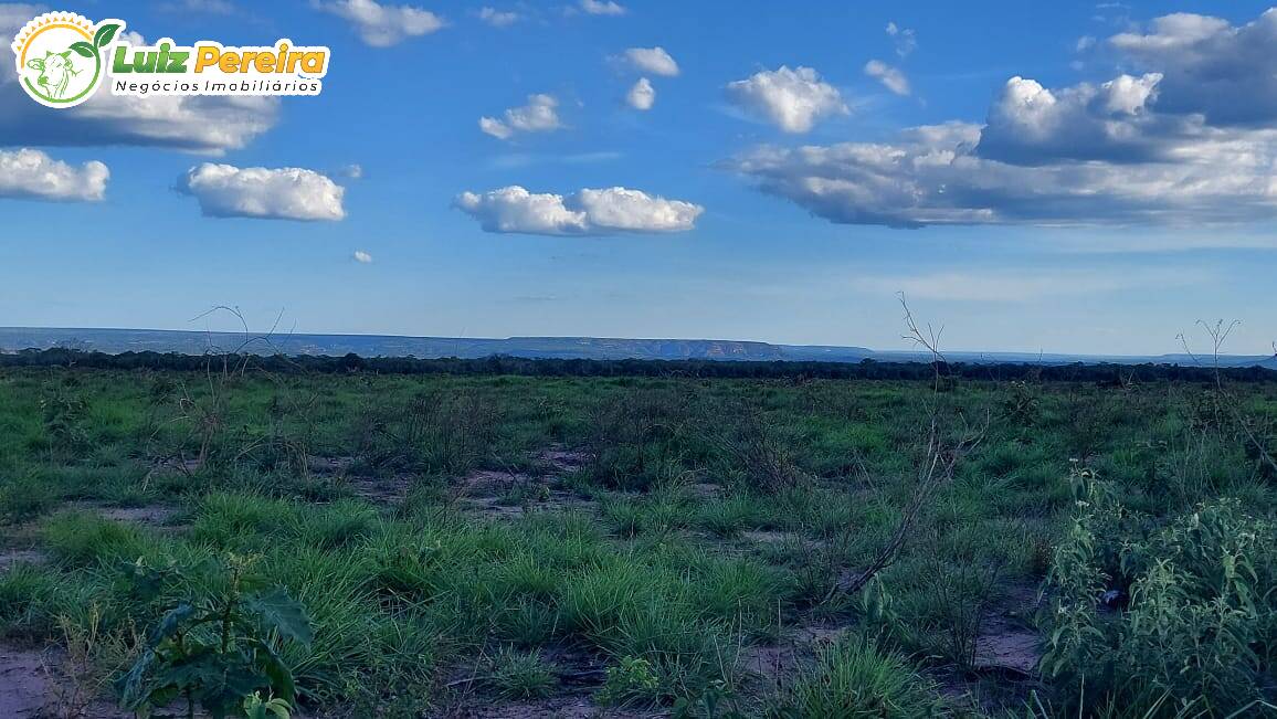 Terreno à venda, 65000000m² - Foto 7