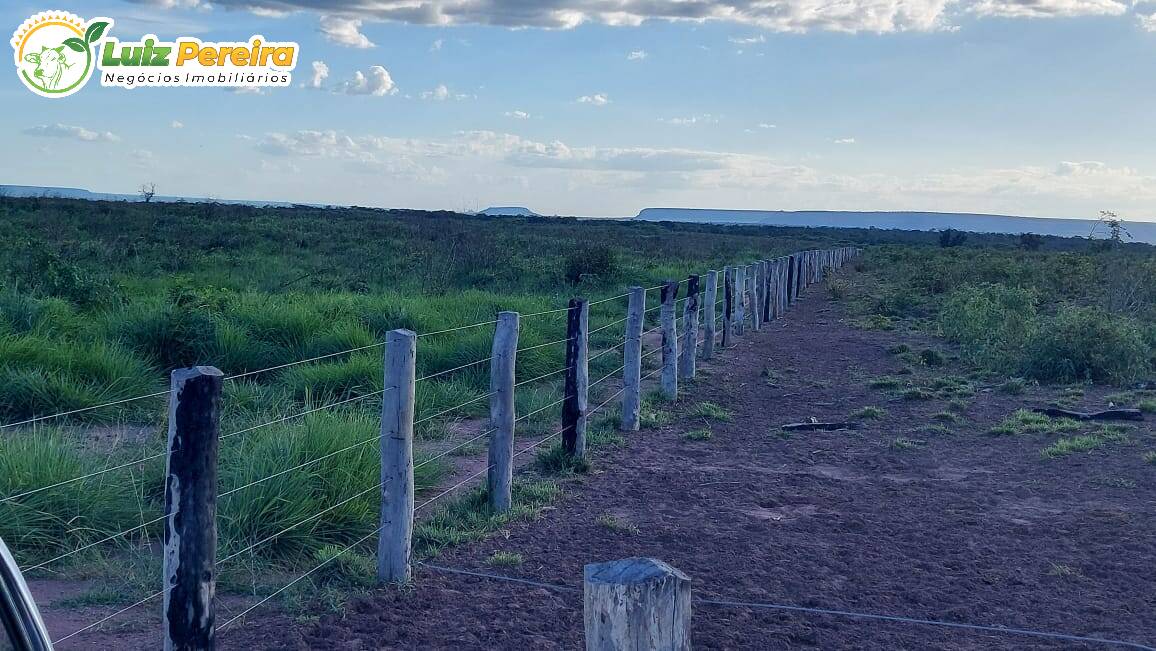Terreno à venda, 65000000m² - Foto 31