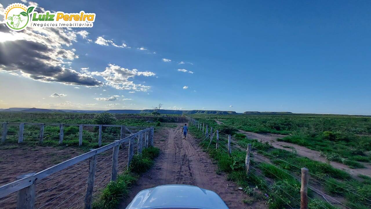 Terreno à venda, 65000000m² - Foto 11